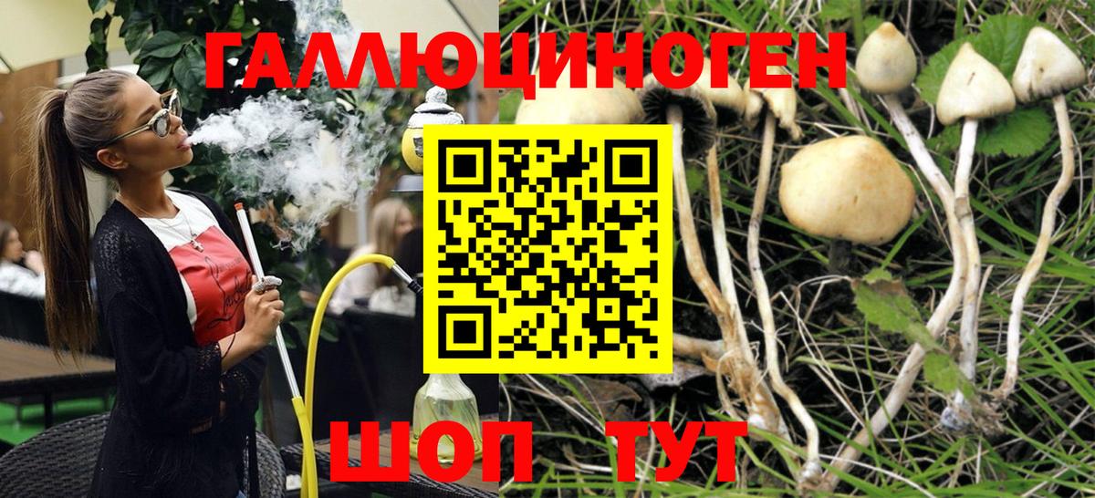 Когалым  Галлюциногенные грибы Magic Shrooms  Галлюциногенные грибы мицелий  Вход с VPN 