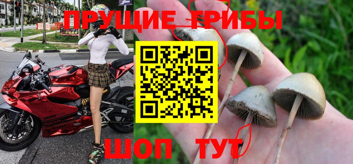 Галлюциногенные грибы мицелий Когалым